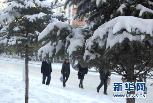 哈爾濱、大慶降下今年入冬以來第一場雪