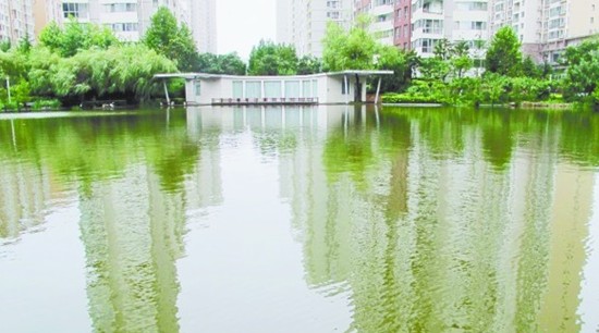 青島排水系統(tǒng)經(jīng)住暴雨考驗(yàn) 揭秘如何留住雨水