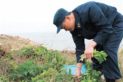 雷達(dá)兵扎根孤島16年