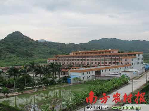 廣東1村支書強(qiáng)占百畝農(nóng)地 建家族豪華祠堂