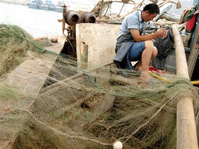 明日開(kāi)海鲅魚(yú)對(duì)蝦黃花魚(yú)成主力