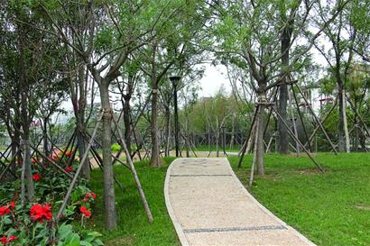 青島白沙河沿岸建運(yùn)動(dòng)公園 安裝健身器材60件套