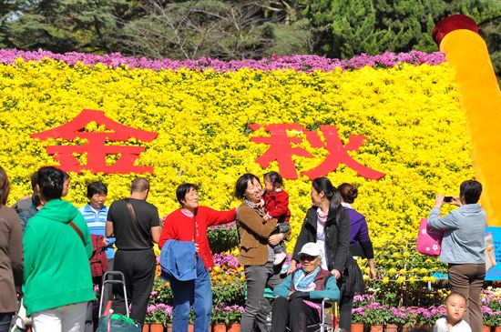 青島中山公園30萬(wàn)盆菊花爭(zhēng)奇斗艷