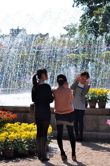 青島中山公園30萬盆菊花爭奇斗艷