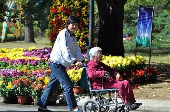 青島中山公園30萬盆菊花爭奇斗艷