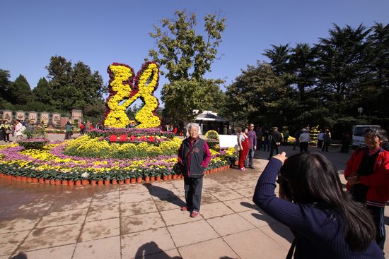 青島中山公園30萬(wàn)盆菊花爭(zhēng)奇斗艷