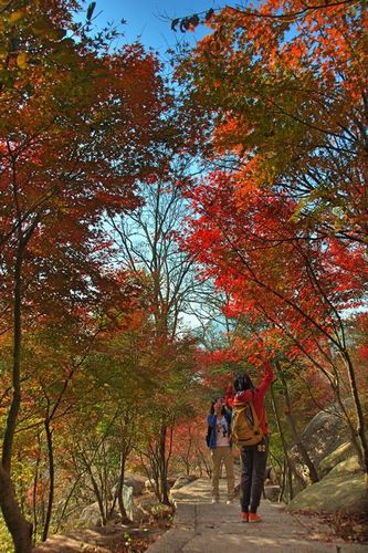 嶗山昨日喜迎初雪 曬大美巨峰深秋紅葉