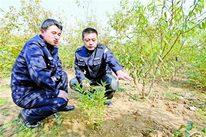 警方破獲團(tuán)伙盜油案 挖地3米安水龍頭偷油