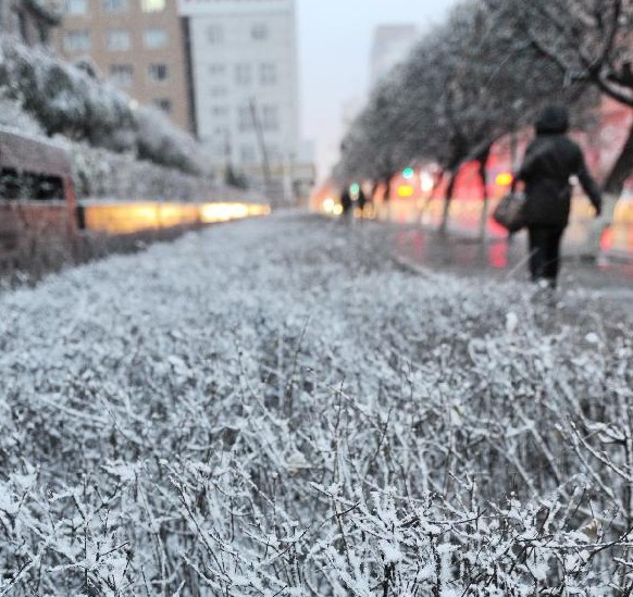 暴雪強(qiáng)襲東北大部 多地大雪將持續(xù)