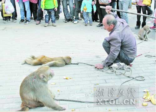 　　耍猴人當街暴打猴子，引起圍觀市民的反感。(豎戈攝)