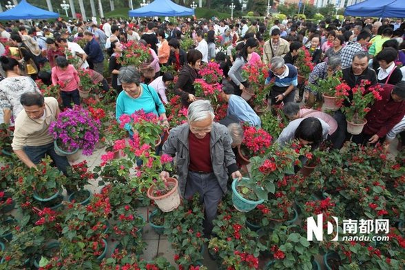 江門免費派花 民眾推倒圍欄哄搶