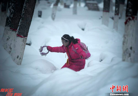 烏魯木齊成“林海雪原”