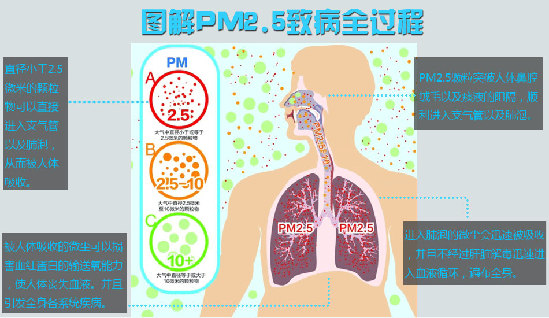 17省遭十面霾伏霧事生非 圖解PM2.5危害 揭生存指南