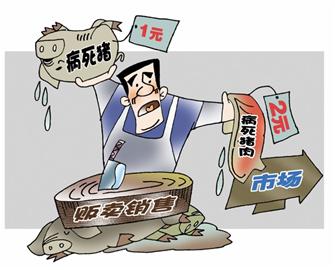 一斤1元回收400頭病死豬 加工后賣到臺(tái)東批發(fā)市場(chǎng)