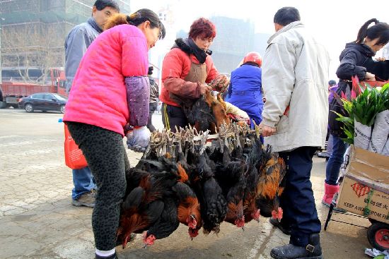 過(guò)大年趕大集 李村集場(chǎng)面火爆年味濃