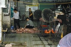 深圳布吉肉菜市場每天售出近萬斤問題豬肉