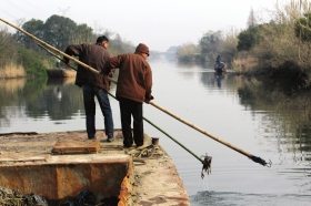 3月16日，新豐鎮(zhèn)竹林村河道內(nèi)，漁民把勾到的死豬挑入船艙內(nèi)。