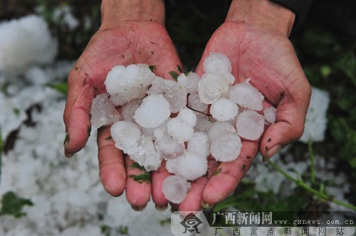 忻城縣北更鄉(xiāng)鳳凰村的村民撿起遺留的冰雹。