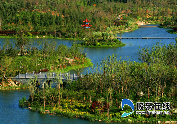 濰坊白浪綠洲濕地公園景觀