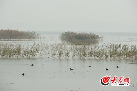 峽山湖國家濕地公園注重對自然環(huán)境的保護(hù)，公園的生物多樣性十分豐富，是我國內(nèi)陸候鳥遷徙通道上的重要驛站和棲息地